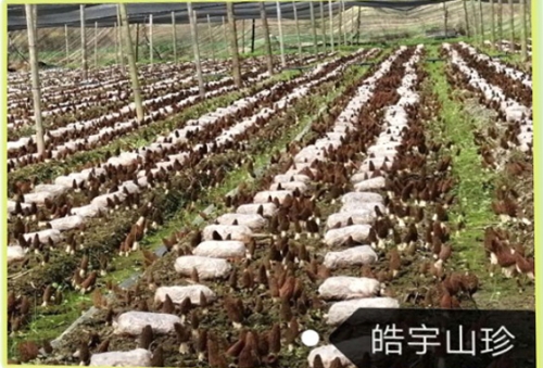 &#74;&#57;&#24179;&#21488;&#45;&#74;&#57;&#40;&#20013;&#22269;&#41;&#19968;&#31449;&#24335;&#26381;&#21153;&#24179;&#21488;