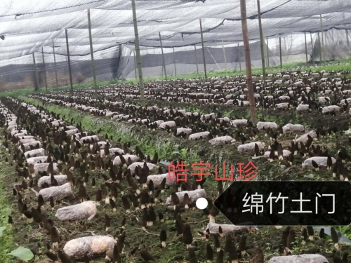 &#74;&#57;&#24179;&#21488;&#45;&#74;&#57;&#40;&#20013;&#22269;&#41;&#19968;&#31449;&#24335;&#26381;&#21153;&#24179;&#21488;