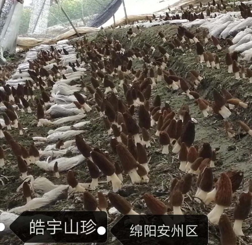 &#74;&#57;&#24179;&#21488;&#45;&#74;&#57;&#40;&#20013;&#22269;&#41;&#19968;&#31449;&#24335;&#26381;&#21153;&#24179;&#21488;