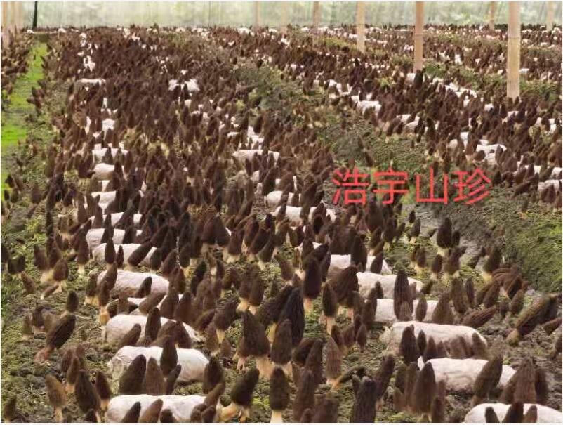 &#74;&#57;&#24179;&#21488;&#45;&#74;&#57;&#40;&#20013;&#22269;&#41;&#19968;&#31449;&#24335;&#26381;&#21153;&#24179;&#21488;