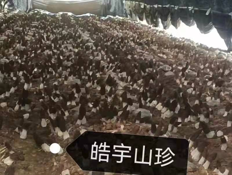 &#74;&#57;&#24179;&#21488;&#45;&#74;&#57;&#40;&#20013;&#22269;&#41;&#19968;&#31449;&#24335;&#26381;&#21153;&#24179;&#21488;