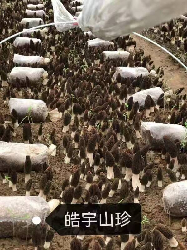 &#74;&#57;&#24179;&#21488;&#45;&#74;&#57;&#40;&#20013;&#22269;&#41;&#19968;&#31449;&#24335;&#26381;&#21153;&#24179;&#21488;