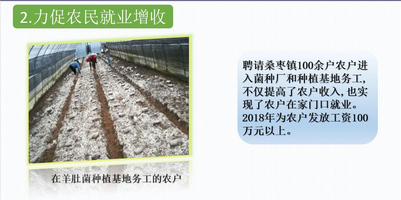 &#74;&#57;&#24179;&#21488;&#45;&#74;&#57;&#40;&#20013;&#22269;&#41;&#19968;&#31449;&#24335;&#26381;&#21153;&#24179;&#21488;