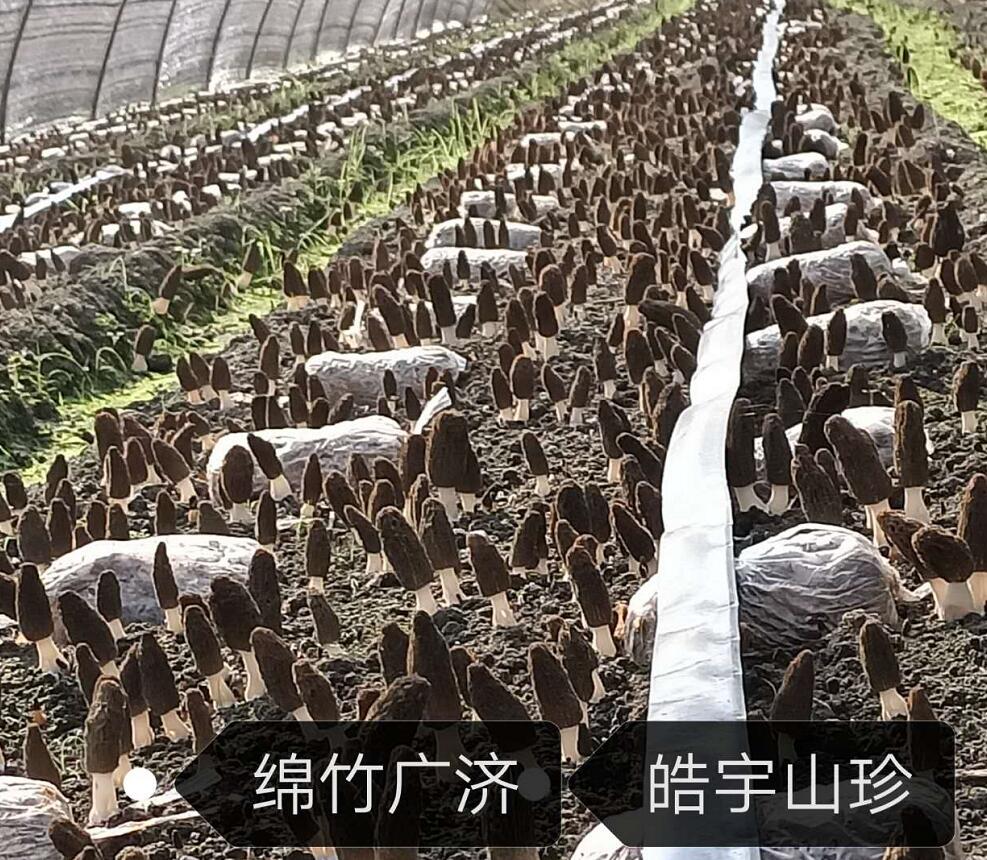 &#74;&#57;&#24179;&#21488;&#45;&#74;&#57;&#40;&#20013;&#22269;&#41;&#19968;&#31449;&#24335;&#26381;&#21153;&#24179;&#21488;