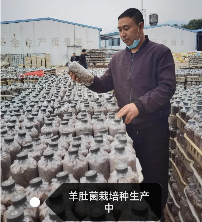 &#74;&#57;&#24179;&#21488;&#45;&#74;&#57;&#40;&#20013;&#22269;&#41;&#19968;&#31449;&#24335;&#26381;&#21153;&#24179;&#21488;